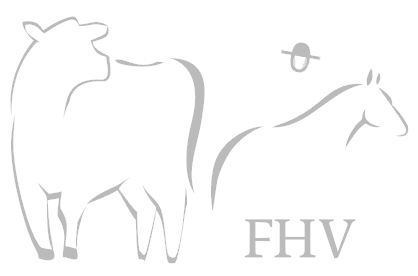 fhv-logo-bottom.png